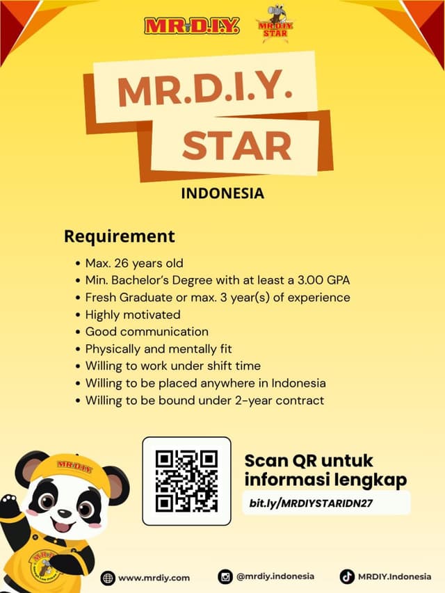 MR.D.I.Y.