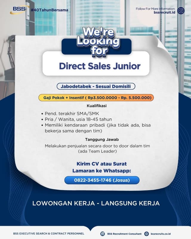 BSS Recruitment Consultant