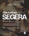 Bad Bear Coffee Garden