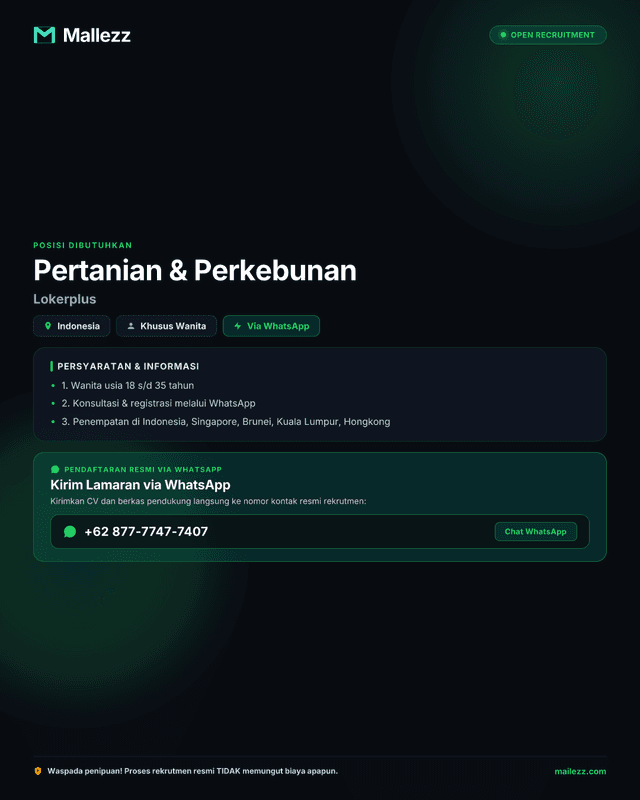 Lokerplus