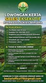PT OPRADOL SUKSES BERSAMA